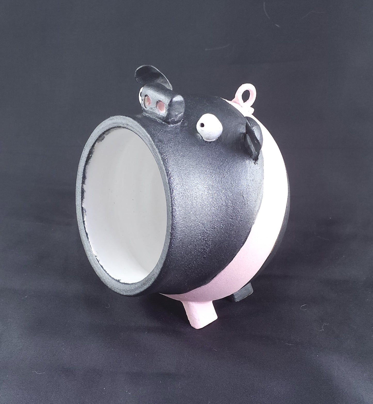 Piggy - Ceramic Salt Pigs. 4 Different 'breeds' available