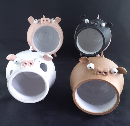 Piggy - Ceramic Salt Pigs. 4 Different 'breeds' available