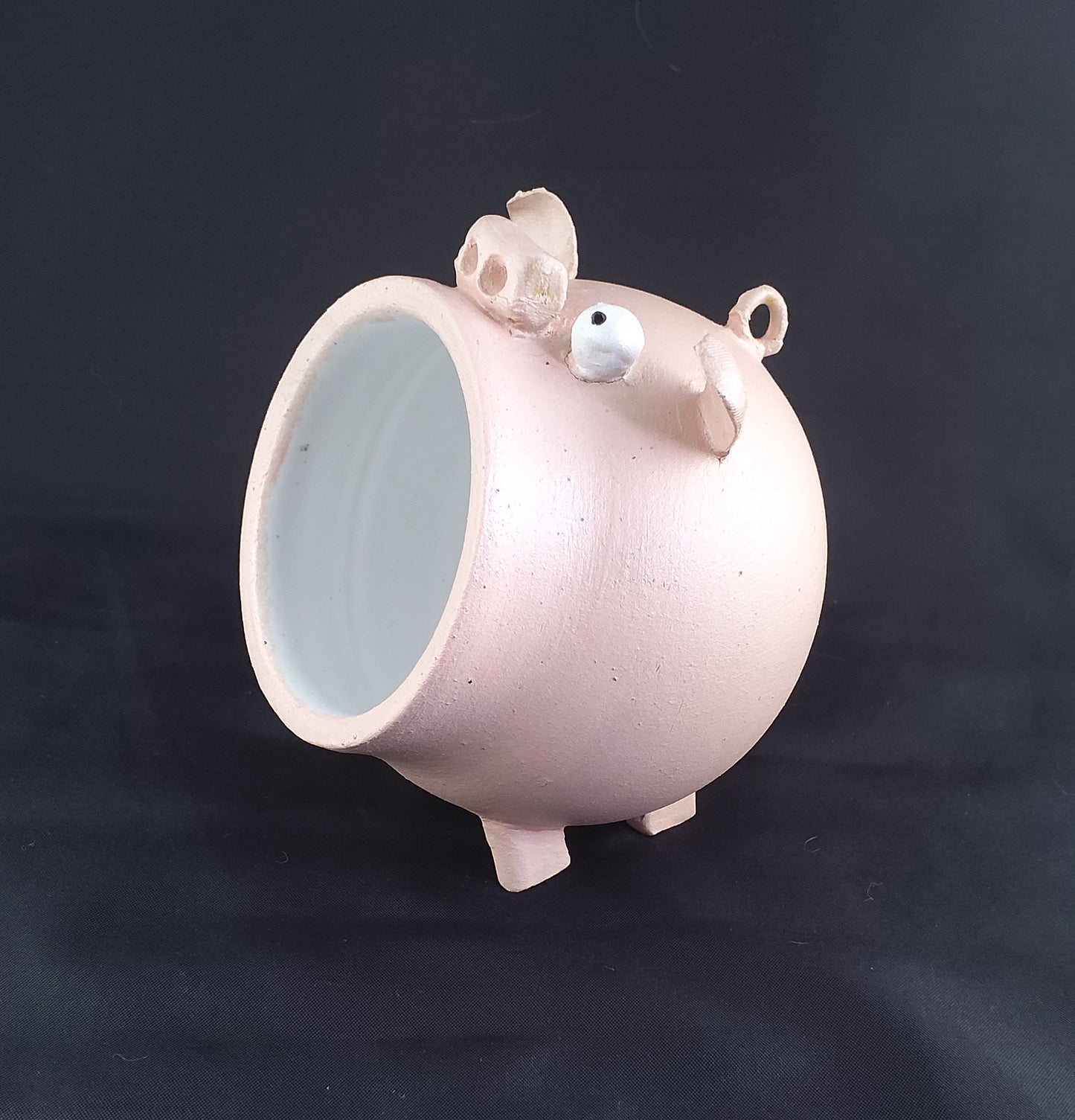 Piggy - Ceramic Salt Pigs. 4 Different 'breeds' available